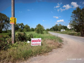 ขายถูกที่ดินใกล้วัดปัญญานันทาราม 1 ไร่ ติดถนนคอนกรีตสาธารณะ ซ.คลองห้า ตอ.38 อ.คลองหลวง จ.ปทุมธานี