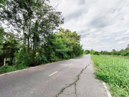 ขายที่ดินคลอง 9 ธัญบุรี ปทุมธานี เนื้อที่ 3 -2-16 ไร่ ทำเลดี เหมาะปลูกบ้านพักอาศัย ที่ดินจัดสรร