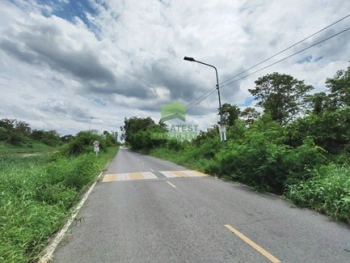 ขายที่ดินคลอง 9 ธัญบุรี ปทุมธานี เนื้อที่ 3 -2-16 ไร่ ทำเลดี เหมาะปลูกบ้านพักอาศัย ที่ดินจัดสรร