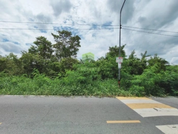 ขายที่ดินคลอง 9 ธัญบุรี ปทุมธานี เนื้อที่ 3 -2-16 ไร่ ทำเลดี เหมาะปลูกบ้านพักอาศัย ที่ดินจัดสรร