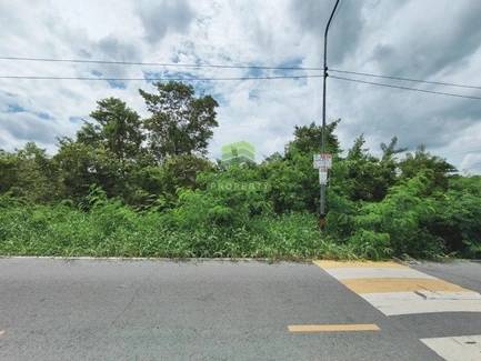 ขายที่ดินคลอง 9 ธัญบุรี ปทุมธานี เนื้อที่ 3 -2-16 ไร่ ทำเลดี เหมาะปลูกบ้านพักอาศัย ที่ดินจัดสรร