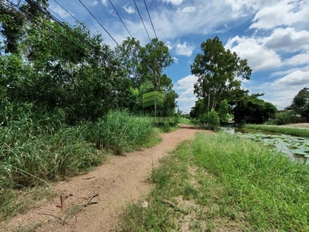 ขายที่ดินเปล่า 202 ตารางวา ซอยรังสิต-นครนายก27 ธัญบุรี ปทุมธานี ทำเลดี ใกล้ฟิวเจอร์พาร์ค รังสิต