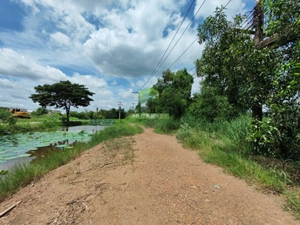 ขายที่ดินเปล่า 202 ตารางวา ซอยรังสิต-นครนายก27 ธัญบุรี ปทุมธานี ทำเลดี ใกล้ฟิวเจอร์พาร์ค รังสิต