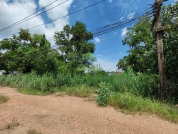 ขายที่ดินเปล่า 202 ตารางวา ซอยรังสิต-นครนายก27 ธัญบุรี ปทุมธานี ทำเลดี ใกล้ฟิวเจอร์พาร์ค รังสิต