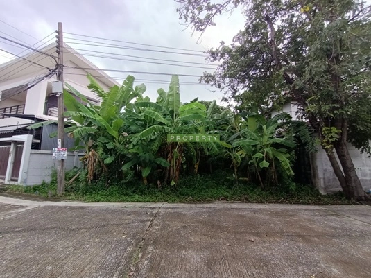 ขาย ที่ดินเปล่าพร้อมปลูกบ้าน ทำเลทอง ย่านรามคำแหง หมู่บ้านธารารมณ์ รามคำแหง 150 เนื้อที่ 67 ตร.ว บรรยากาศร่มรื่น ใกล้รถไฟฟ้าสายสีส้ม