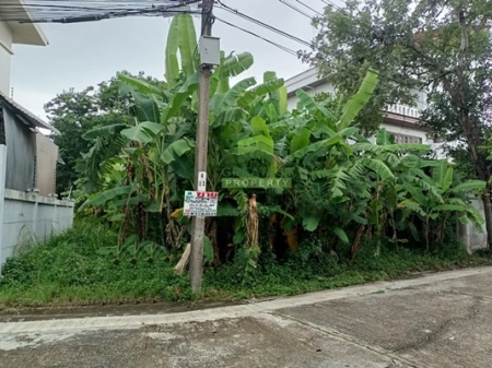 ขาย ที่ดินเปล่าพร้อมปลูกบ้าน ทำเลทอง ย่านรามคำแหง หมู่บ้านธารารมณ์ รามคำแหง 150 เนื้อที่ 67 ตร.ว บรรยากาศร่มรื่น ใกล้รถไฟฟ้าสายสีส้ม