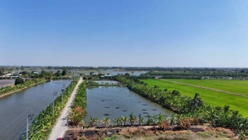 ขายที่ดิน 1 ไร่ ซอยวัดบัวโรย สมุทรปราการ