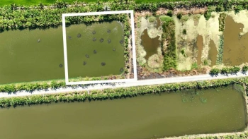 ขายที่ดิน 1 ไร่ ซอยวัดบัวโรย สมุทรปราการ