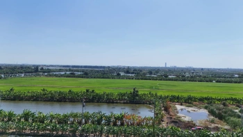 ขายที่ดิน 1 ไร่ ซอยวัดบัวโรย สมุทรปราการ