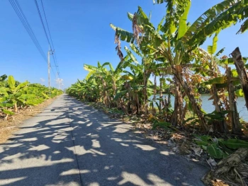 ขายที่ดิน 1 ไร่ ซอยวัดบัวโรย สมุทรปราการ