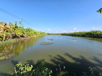 ขายที่ดิน 1 ไร่ ซอยวัดบัวโรย สมุทรปราการ