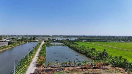 ขายที่ดิน 1 ไร่ ซอยวัดบัวโรย สมุทรปราการ