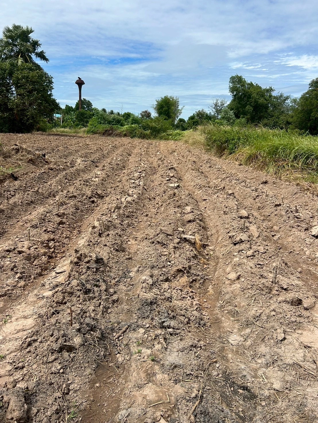 ขายที่ดินเปล่า 21-0-31 ไร่ ติดถนนสุวรรณเกสร ต.โพธิ์งาม อ.ประจันตคาม จ.ปราจีนบุรี ราคา 22,000,000 บาท