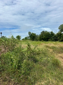 ขายที่ดินเปล่า 21-0-31 ไร่ ติดถนนสุวรรณเกสร ต.โพธิ์งาม อ.ประจันตคาม จ.ปราจีนบุรี ราคา 22,000,000 บาท