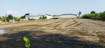 ที่ดิน4ไร่1งาน อยู่สาย5 นครปฐมครับ เบอเจ้าของตรงครับ