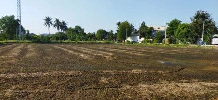 ที่ดิน4ไร่1งาน อยู่สาย5 นครปฐมครับ เบอเจ้าของตรงครับ