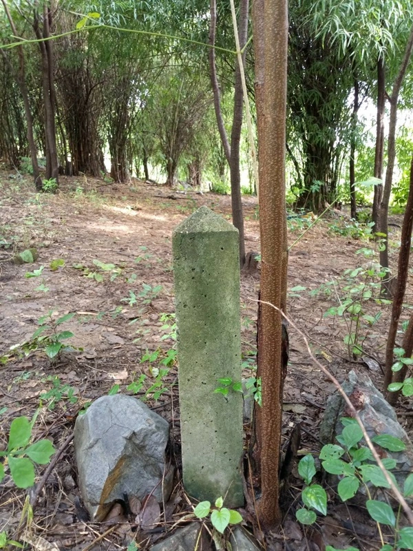 ขายด่วน! ที่ดินเปล่า ทำเลดี ใกล้เมืองนครสวรรค์ เนื้อที่ 160 ตร.ว. โทร 092-6869618