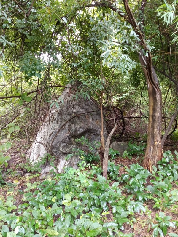 ขายด่วน! ที่ดินเปล่า ทำเลดี ใกล้เมืองนครสวรรค์ เนื้อที่ 160 ตร.ว. โทร 092-6869618