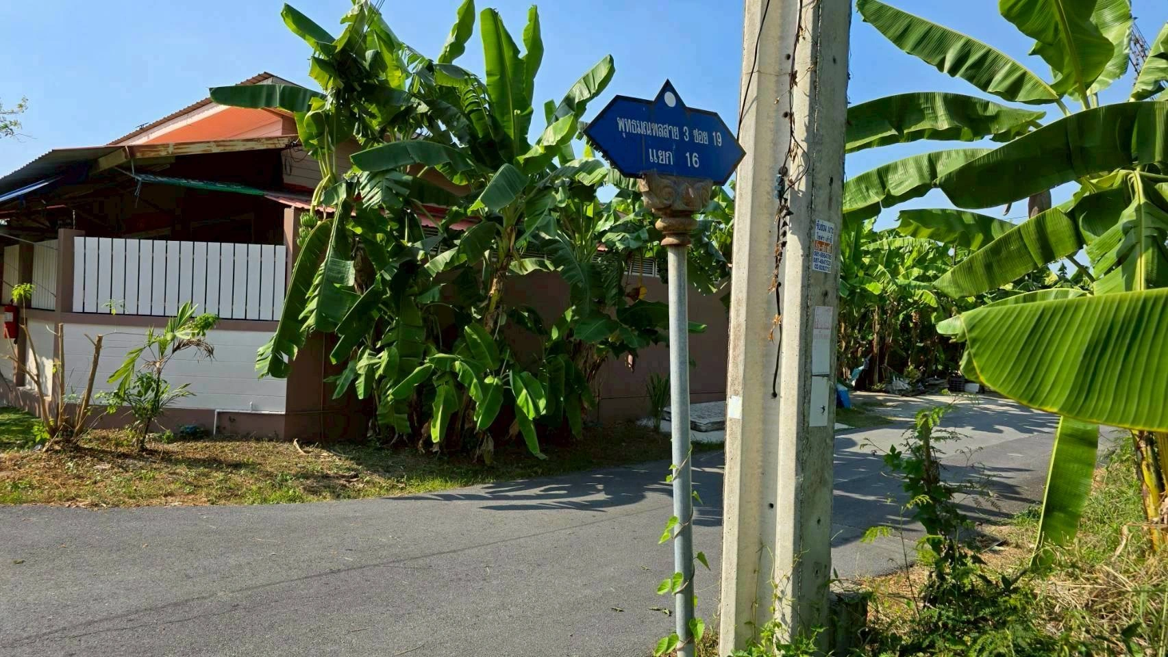 ขายด่วนที่ดินพุทธมณฑลสาย 3 เนื้อที่ 57 ตรว ติดถนนลาดยาง ซ.19 แยก 16  เขตตลิ่งชัน กทม.