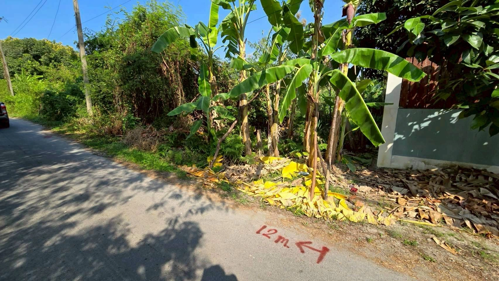 ขายด่วนที่ดินพุทธมณฑลสาย 3 เนื้อที่ 57 ตรว ติดถนนลาดยาง ซ.19 แยก 16  เขตตลิ่งชัน กทม.