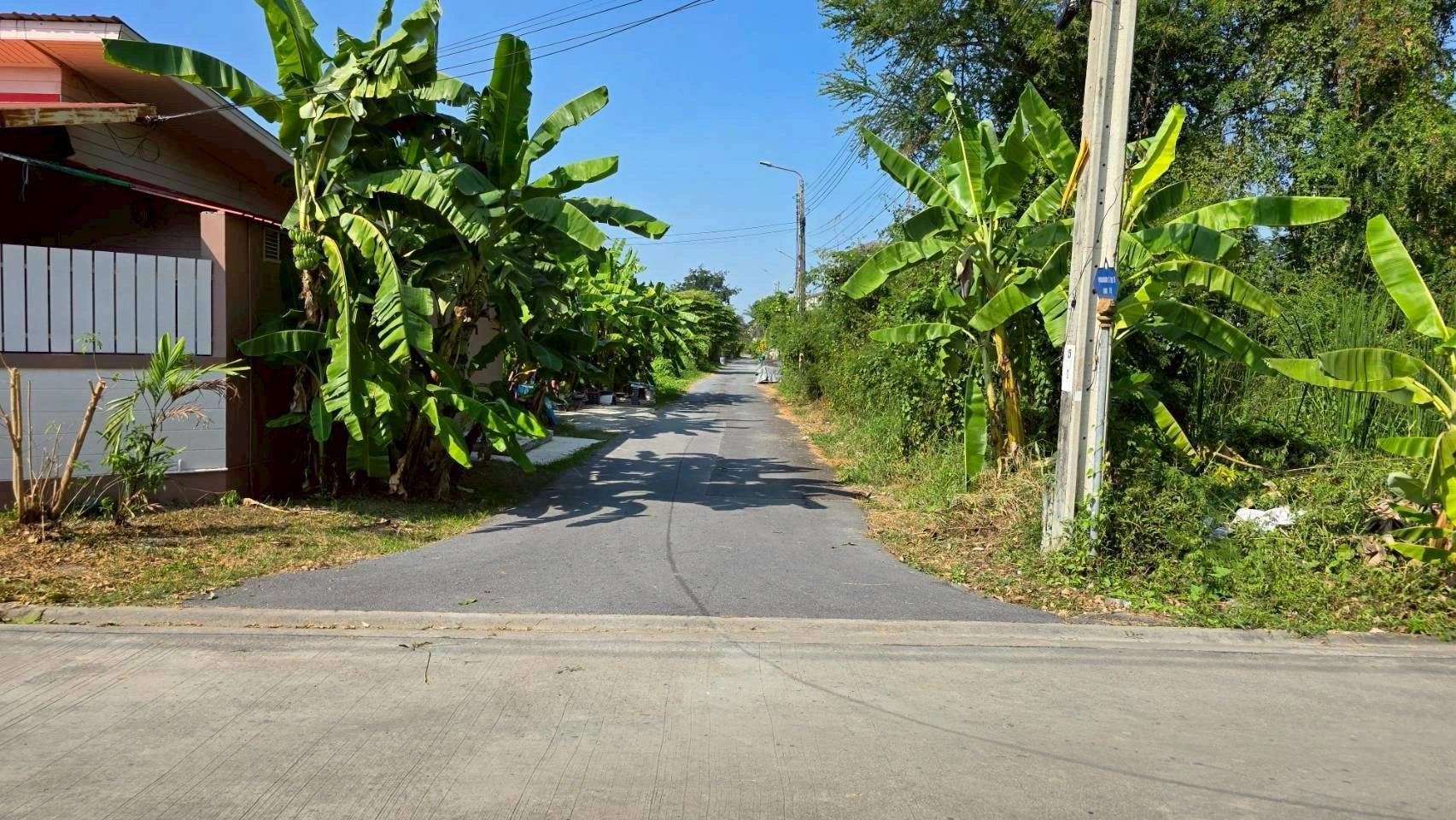 ขายด่วนที่ดินพุทธมณฑลสาย 3 เนื้อที่ 57 ตรว ติดถนนลาดยาง ซ.19 แยก 16  เขตตลิ่งชัน กทม.