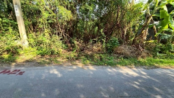 ขายด่วนที่ดินพุทธมณฑลสาย 3 เนื้อที่ 57 ตรว ติดถนนลาดยาง ซ.19 แยก 16  เขตตลิ่งชัน กทม.