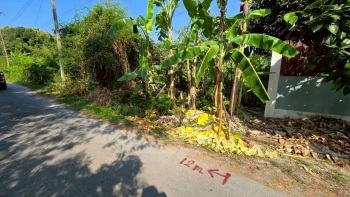 ขายด่วนที่ดินพุทธมณฑลสาย 3 เนื้อที่ 57 ตรว ติดถนนลาดยาง ซ.19 แยก 16  เขตตลิ่งชัน กทม.