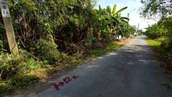 ขายด่วนที่ดินพุทธมณฑลสาย 3 เนื้อที่ 57 ตรว ติดถนนลาดยาง ซ.19 แยก 16  เขตตลิ่งชัน กทม.