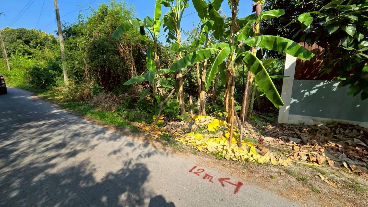 ขายด่วนที่ดินพุทธมณฑลสาย 3 เนื้อที่ 57 ตรว ติดถนนลาดยาง ซ.19 แยก 16  เขตตลิ่งชัน กทม.