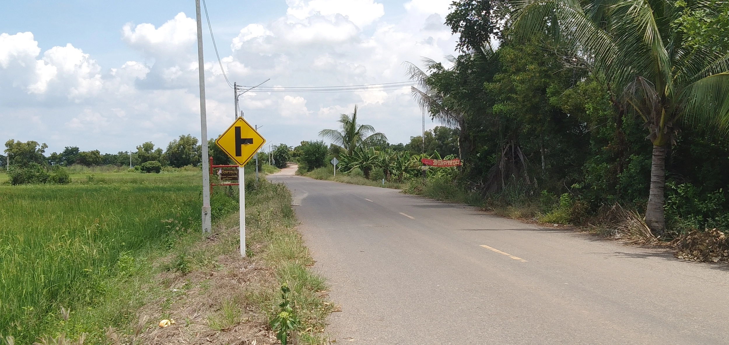 ขายที่ดิน คลอง 21 อำเภอบางน้ำเปรี้ยว จังหวัดฉะเชิงเทรา