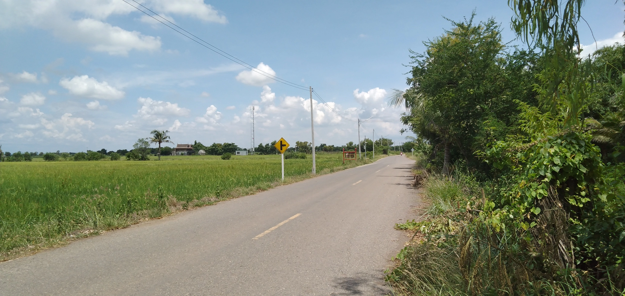 ขายที่ดิน คลอง 21 อำเภอบางน้ำเปรี้ยว จังหวัดฉะเชิงเทรา