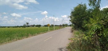 ขายที่ดิน คลอง 21 อำเภอบางน้ำเปรี้ยว จังหวัดฉะเชิงเทรา