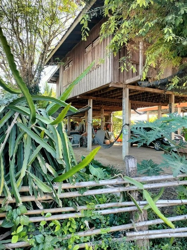 ขายด่วน! (บ้าน 2 ชั้น/ใต้ถุนโล่ง) พร้อมที่ดิน ติดถนนดำ อำเภอลาดยาว นครสวรรค์ โทร 092-6869618