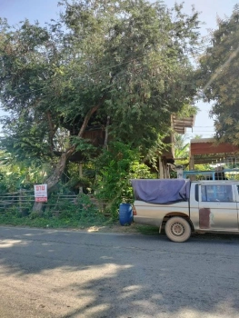 ขายด่วน! (บ้าน 2 ชั้น/ใต้ถุนโล่ง) พร้อมที่ดิน ติดถนนดำ อำเภอลาดยาว นครสวรรค์ โทร 092-6869618