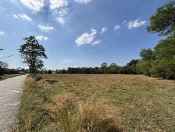 ขายที่ดิน 13 ไร่ 63 ตารางวา นครนายก ถนนสุวรรณศร หมู่ที่9 ต.ป่าขะ อ.บ้านนา โทร 089-7411750