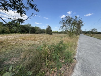 ขายที่ดิน 13 ไร่ 63 ตารางวา นครนายก ถนนสุวรรณศร หมู่ที่9 ต.ป่าขะ อ.บ้านนา โทร 089-7411750