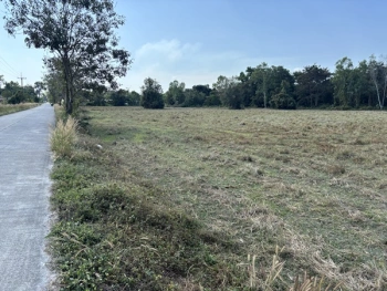 ขายที่ดิน 13 ไร่ 63 ตารางวา นครนายก ถนนสุวรรณศร หมู่ที่9 ต.ป่าขะ อ.บ้านนา โทร 089-7411750