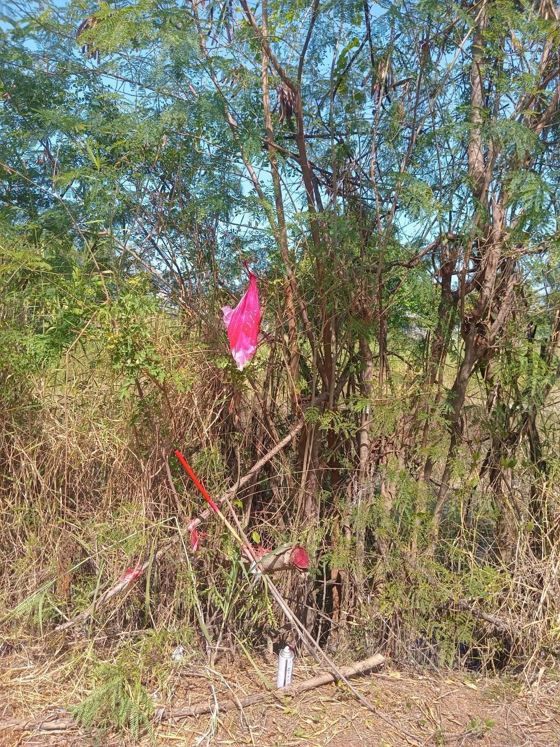 ขายถูกที่สุดที่ดินคลองสาม 1 ไร่ ติดถนนคอนกรีตสาธารณะ หน้ากว้างมาก ซ.12/9 อ.คลองหลวง จ.ปทุมธานี