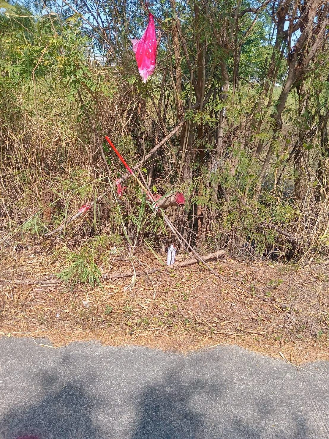 ขายถูกที่สุดที่ดินคลองสาม 1 ไร่ ติดถนนคอนกรีตสาธารณะ หน้ากว้างมาก ซ.12/9 อ.คลองหลวง จ.ปทุมธานี