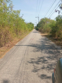 ขายถูกที่สุดที่ดินคลองสาม 1 ไร่ ติดถนนคอนกรีตสาธารณะ หน้ากว้างมาก ซ.12/9 อ.คลองหลวง จ.ปทุมธานี