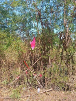 ขายถูกที่สุดที่ดินคลองสาม 1 ไร่ ติดถนนคอนกรีตสาธารณะ หน้ากว้างมาก ซ.12/9 อ.คลองหลวง จ.ปทุมธานี