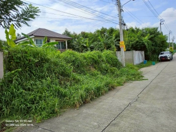 ขายที่ดินพุทธมณฑลสายสอง 113 ตรว ติดถนนคอนกรีตสาธารณะ ถมแล้ว  ซ.11 ภาษีเจริญ กทม.