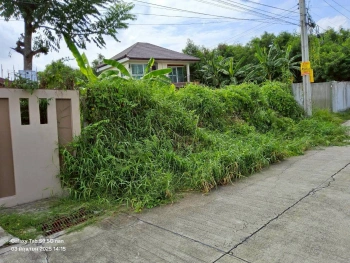 ขายที่ดินพุทธมณฑลสายสอง 113 ตรว ติดถนนคอนกรีตสาธารณะ ถมแล้ว  ซ.11 ภาษีเจริญ กทม.