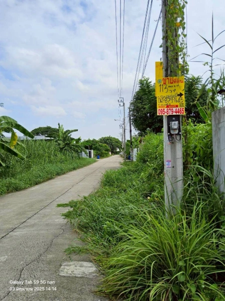 ขายที่ดินพุทธมณฑลสายสอง 113 ตรว ติดถนนคอนกรีตสาธารณะ ถมแล้ว  ซ.11 ภาษีเจริญ กทม.