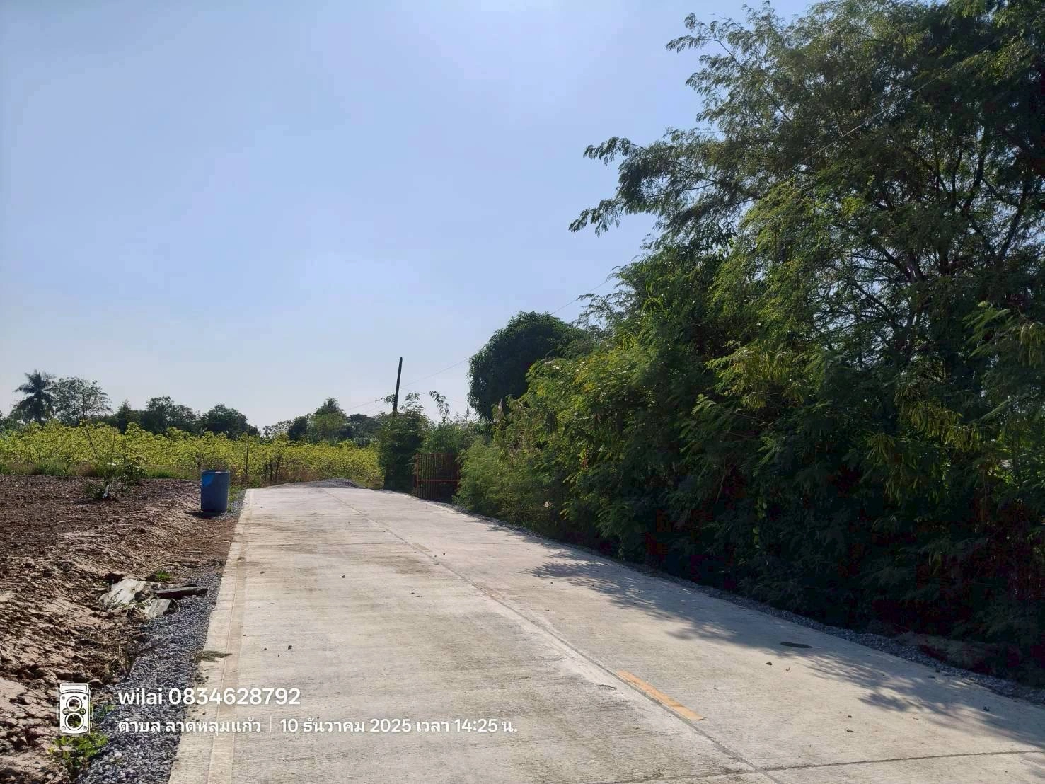 ขายที่ดินลาดหลุมแก้ว 100 ตรว ติดถนนคอนกรีตสาธารณะ ถมแล้ว ถ.ปทุมธานี-บางเลน(346) จ.ปทุมธานี