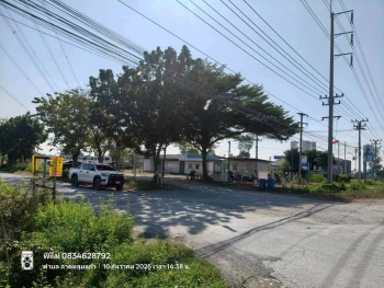 ขายที่ดินลาดหลุมแก้ว 100 ตรว ติดถนนคอนกรีตสาธารณะ ถมแล้ว ถ.ปทุมธานี-บางเลน(346) จ.ปทุมธานี