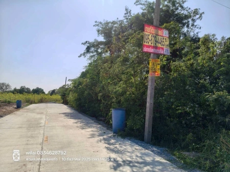 ขายที่ดินลาดหลุมแก้ว 100 ตรว ติดถนนคอนกรีตสาธารณะ ถมแล้ว ถ.ปทุมธานี-บางเลน(346) จ.ปทุมธานี