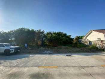 ขายด่วนที่ดินทำเลดี 96 ตรว ติดถนนคอนกรีตสาธารณะ ถมแล้ว ซ.เทพประทาน 1 อ.ไทรน้อย จ.นนทบุรี