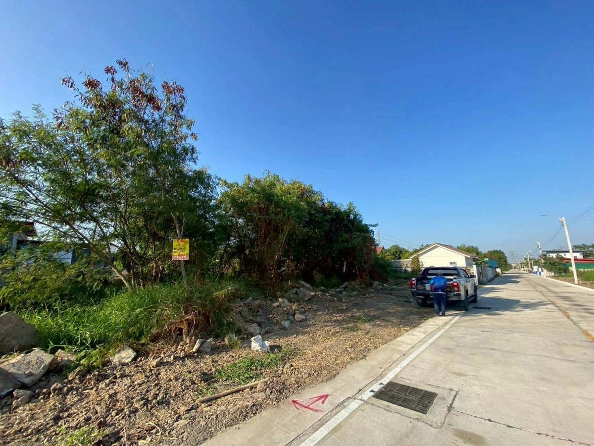 ขายด่วนที่ดินทำเลดี 96 ตรว ติดถนนคอนกรีตสาธารณะ ถมแล้ว ซ.เทพประทาน 1 อ.ไทรน้อย จ.นนทบุรี