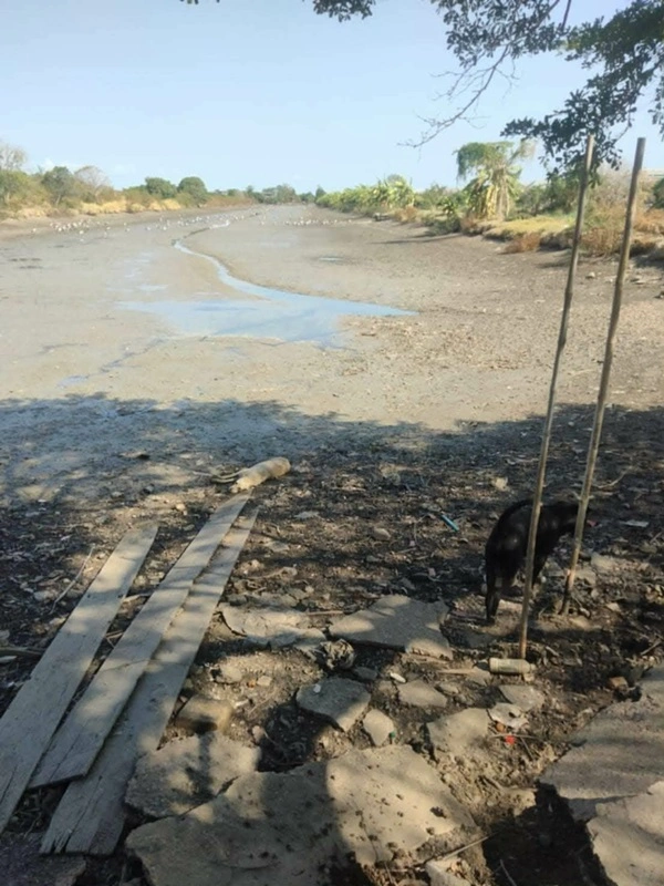 ขายด่วน! ลดกระหน่ำ ถูกสุดๆ ขายที่ดินราคาพิเศษ อ.บางเสาธง จ.สมุทรปราการ สวย ทำเลดี Tel. 092-6869618